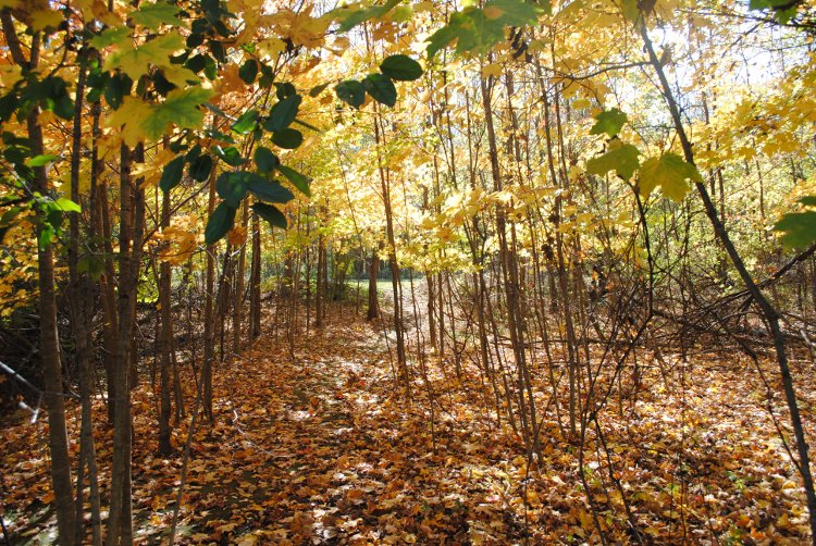 Photo of the Keystone Commons